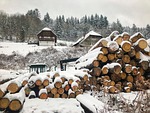 forest, fog, wood, sawmill, black forest, mountain, hillside, snow, mystical, sawmill, sawmill, sawmill, nature, sawmill, sawmill